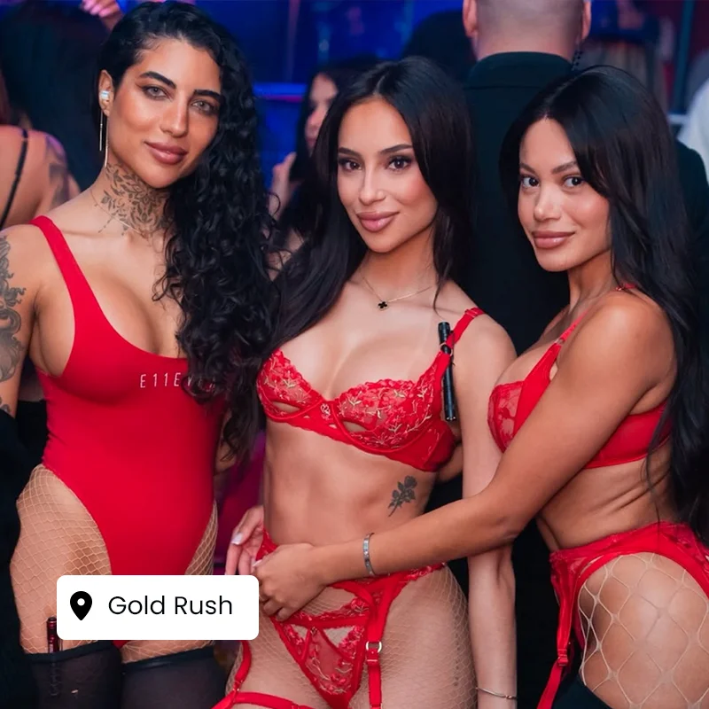 Luxury strip party experience in Miami