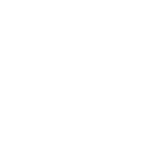 logo liv